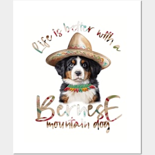 Bernese mountain dog Posters and Art